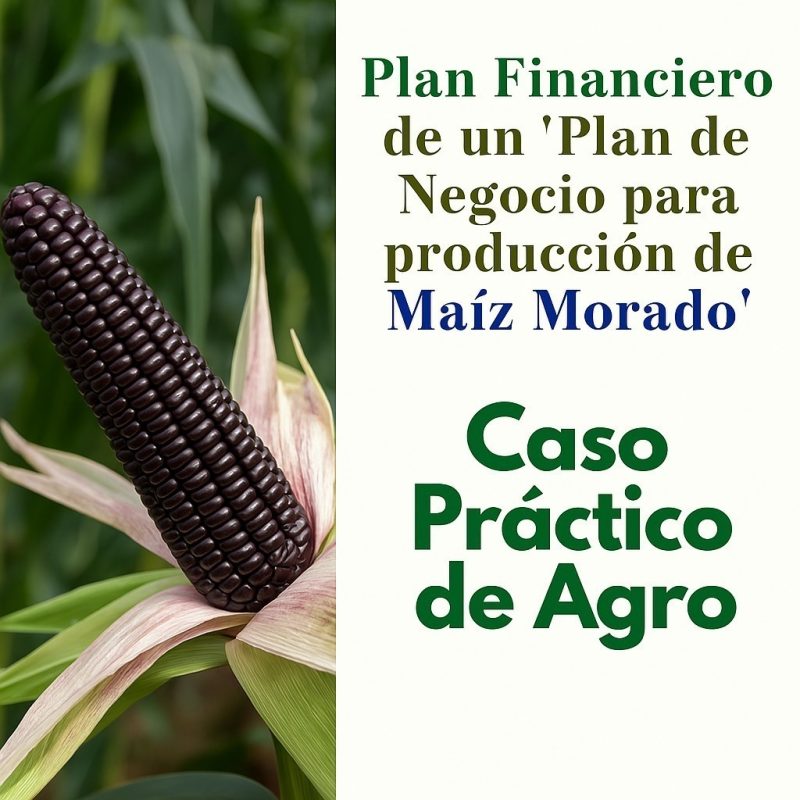 Plan Financiero Maiz Morado