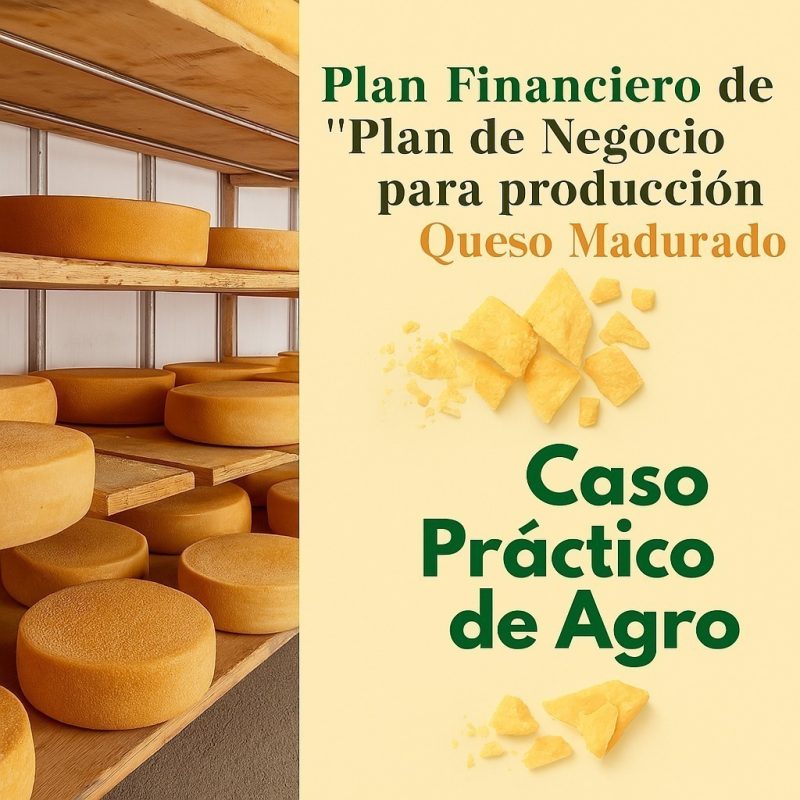 plan financiero de quesos